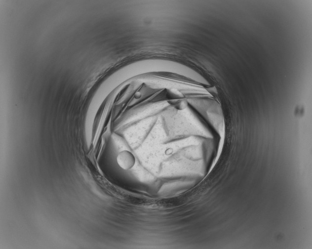 X0000111620500200908141322