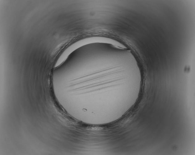 X0000111620501200908141322