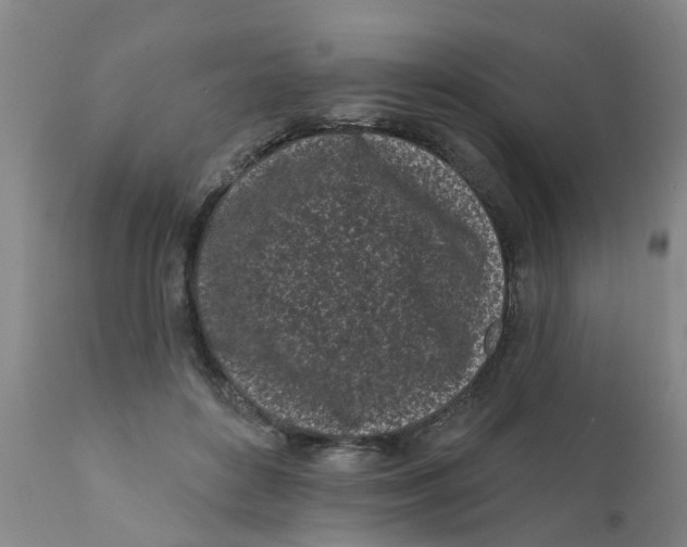 X0000111620504200908141322