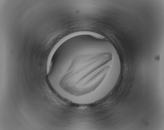 X0000111620505200908141322