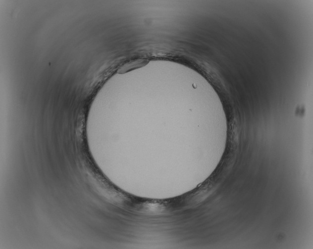 X0000111620509200908141321