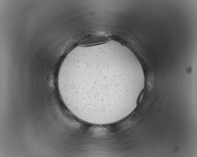 X0000111620512200908141321