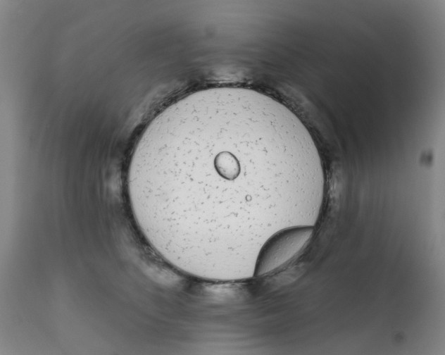 X0000111620516200908141321