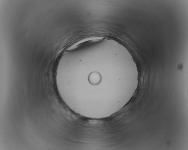 X0000111620520200908141321