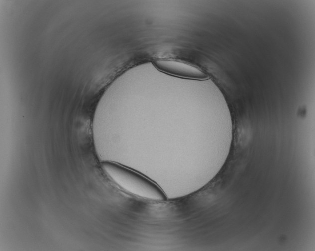 X0000111620521200908141321