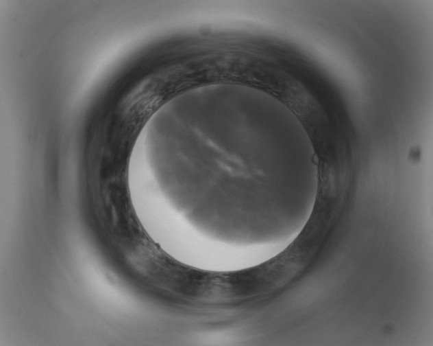 X0000111620526200908141321