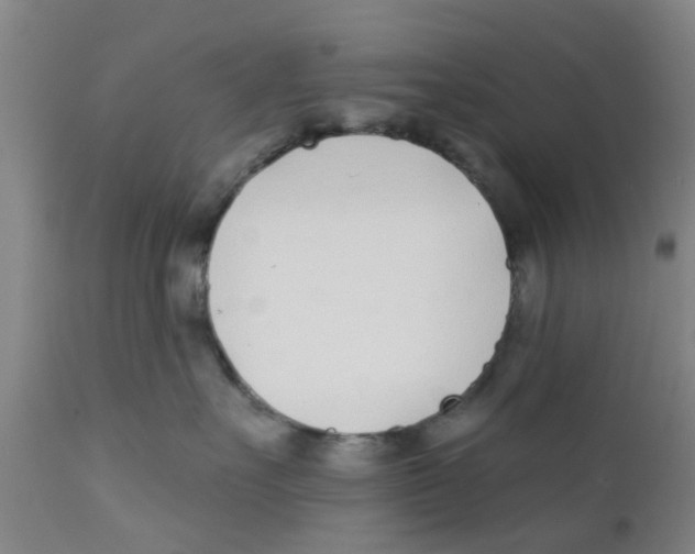 X0000111620527200908141321