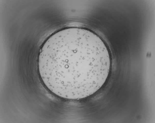 X0000111620529200908141320