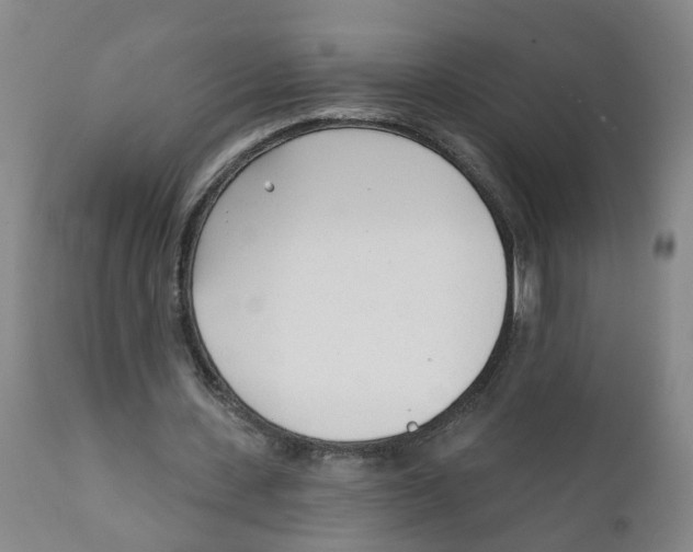 X0000111620531200908141320