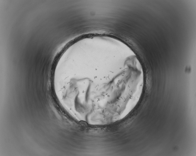 X0000111620532200908141320