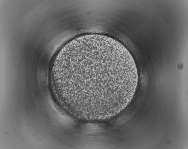 X0000111620534200908141320