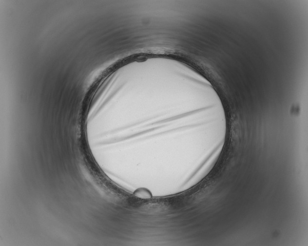 X0000111620536200908141320