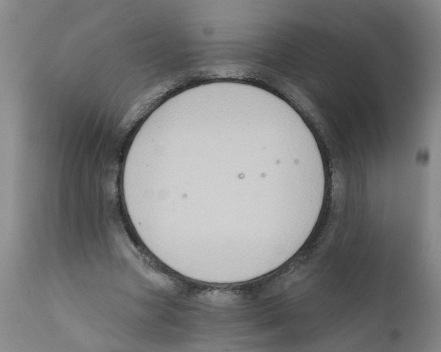 X0000111620537200908141320