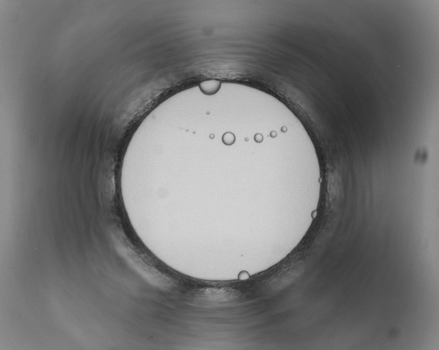 X0000111620541200908141321