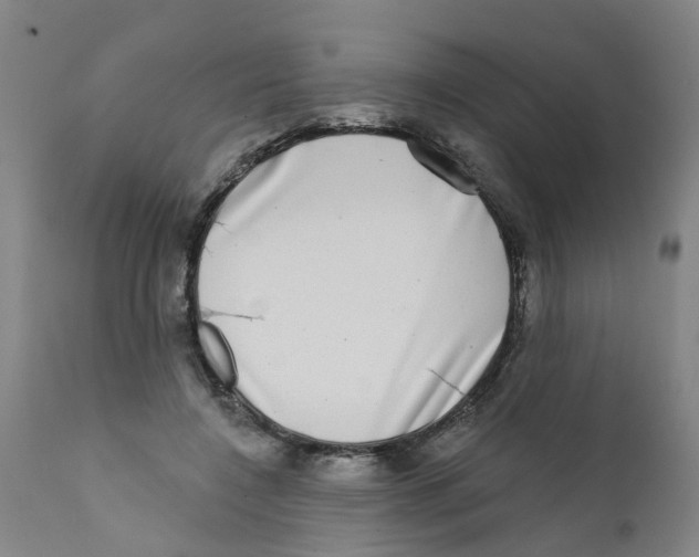 X0000111620548200908141321