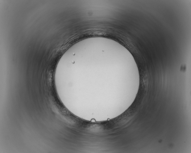 X0000111620551200908141321