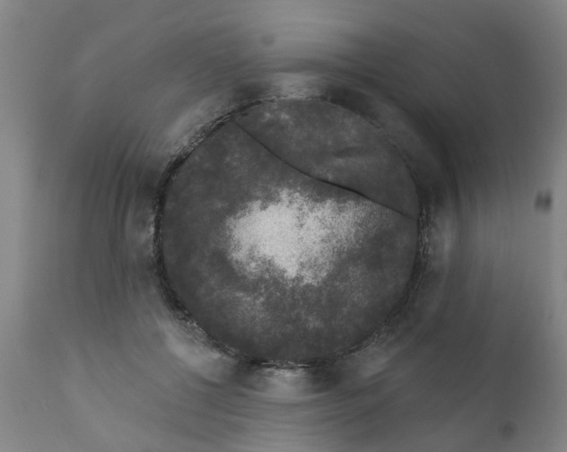 X0000111620552200908141321