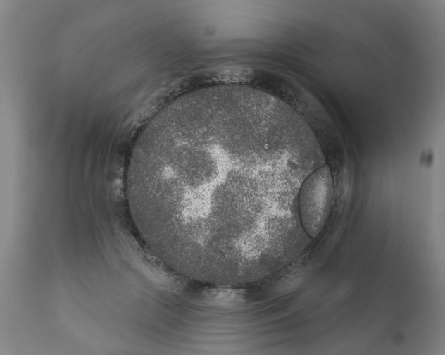 X0000111620553200908141321