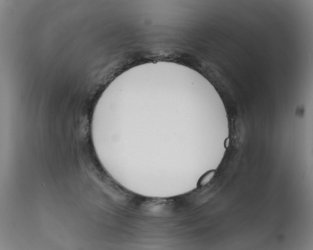 X0000111620563200908141321