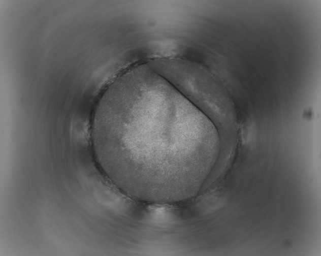 X0000111620564200908141321