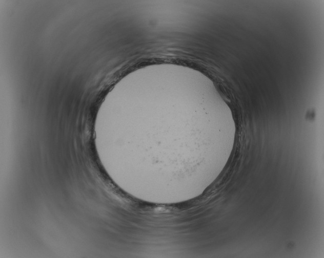 X0000111620566200908141321