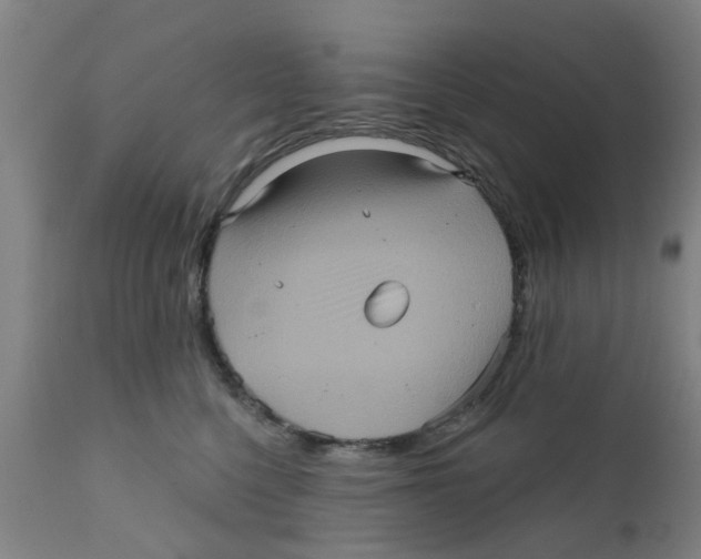 X0000111620568200908141321