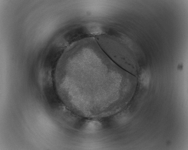 X0000111620572200908141321