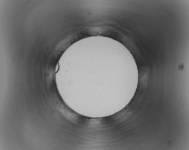 X0000111620574200908141321