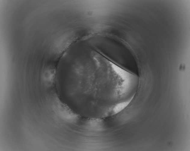 X0000111620576200908141321