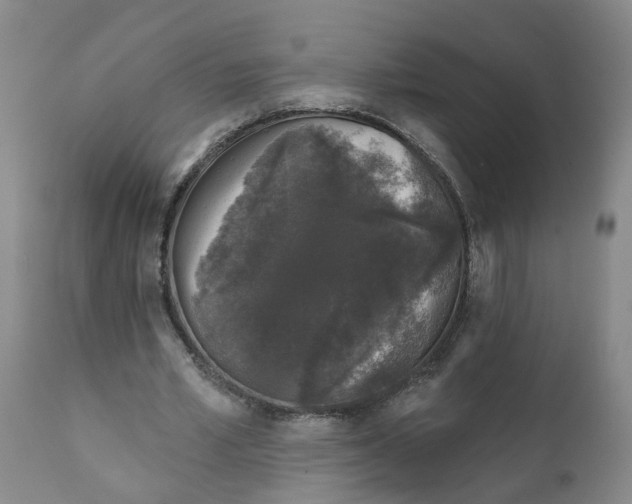 X0000111620581200908141320