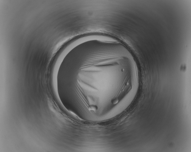 X0000111620583200908141320