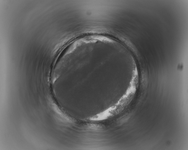 X0000111620585200908141320