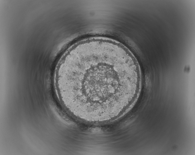 X0000111620588200908141320