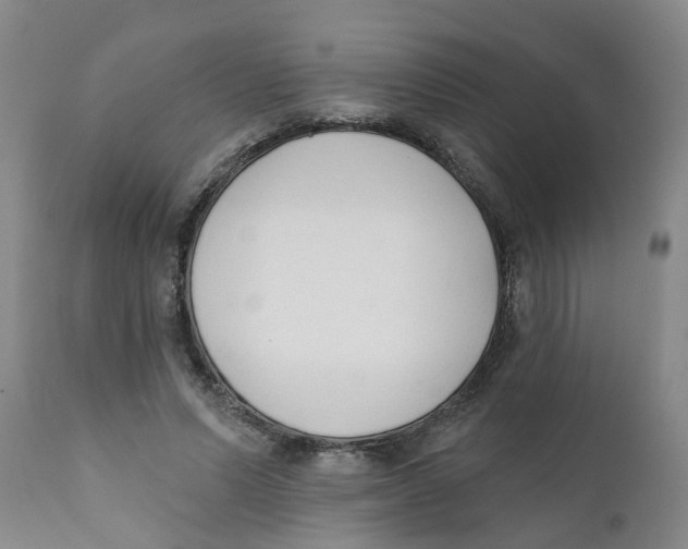 X0000111620591200908141320