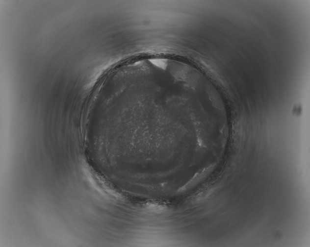 X0000111620592200908141320