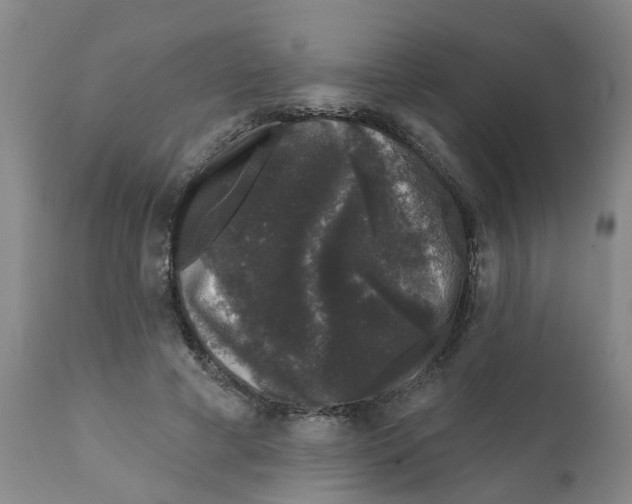 X0000111620593200908141320