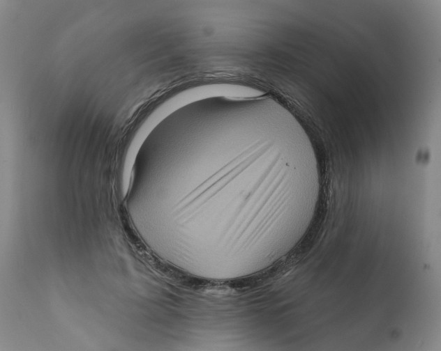 X0000111620595200908141320