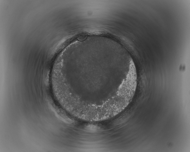 X0000111620596200908141320