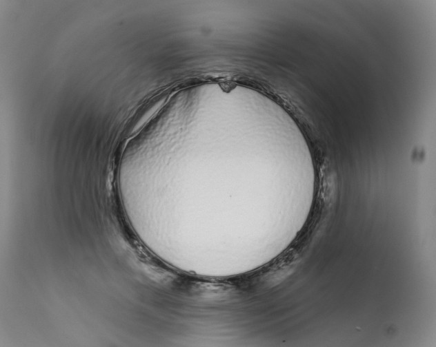 X0000111620597200908141320