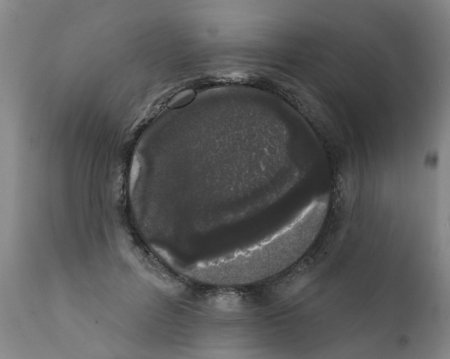 X0000111620600200908141320