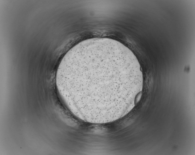 X0000111620601200908141320