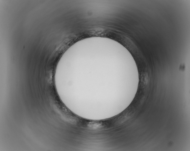 X0000111620602200908141320