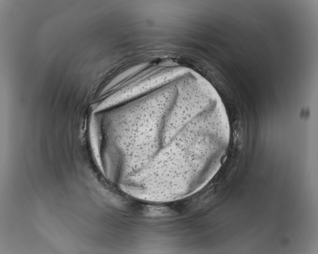 X0000111620605200908141320