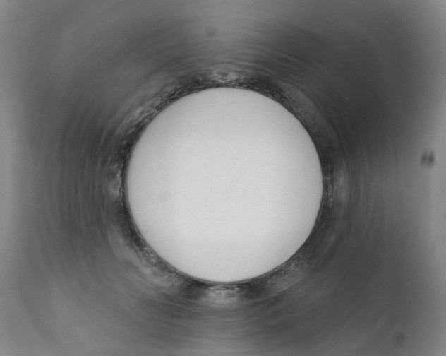 X0000111620606200908141320