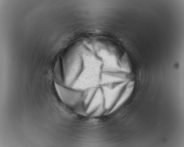 X0000111620609200908141320