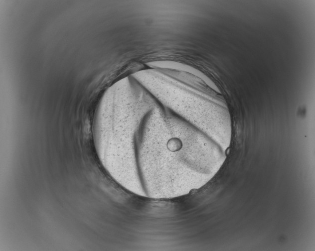 X0000111620617200908141320