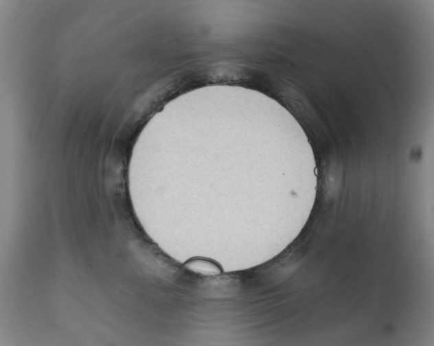 X0000111620619200908141320