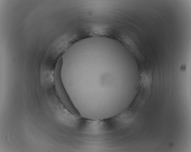 X0000111620621200908141320