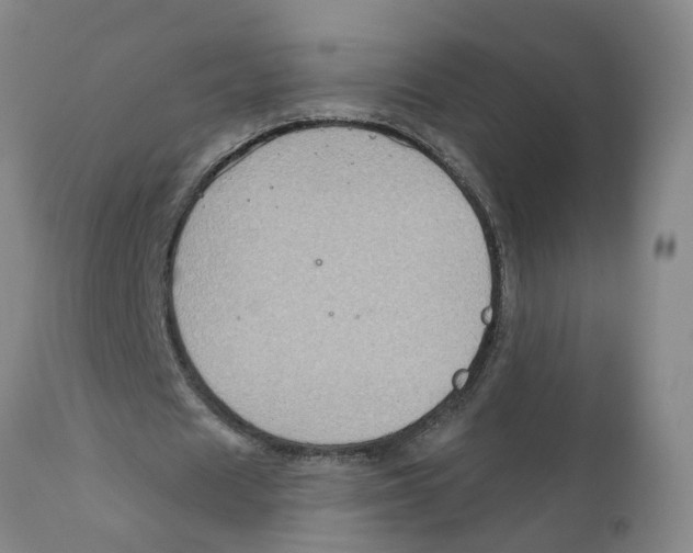 X0000111620625200908141319