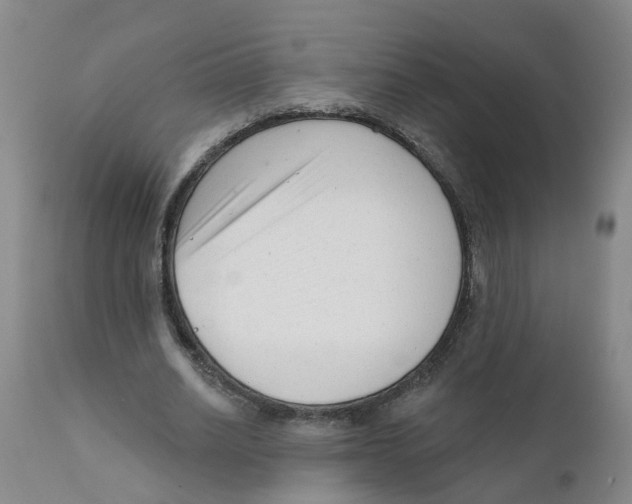 X0000111620630200908141319